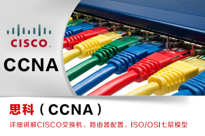 網(wǎng)絡(luò)工程 構(gòu)建數(shù)字化時(shí)代的基石